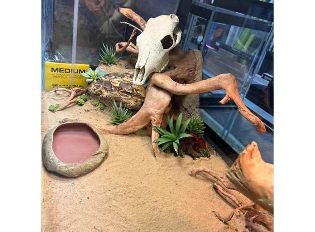 Террариумный комплект "Осколок Аризоны"